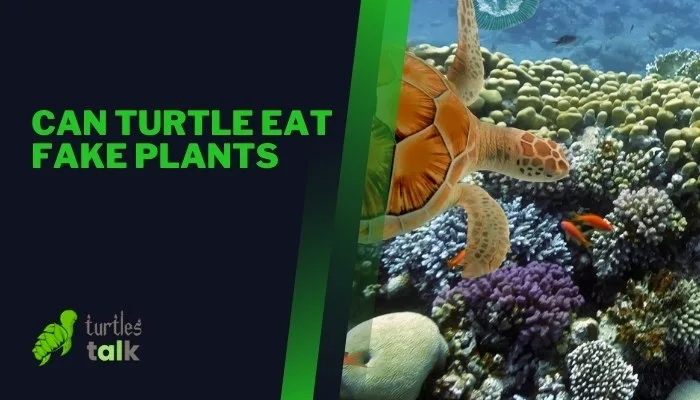 Can Turtle Eat Fake Plants