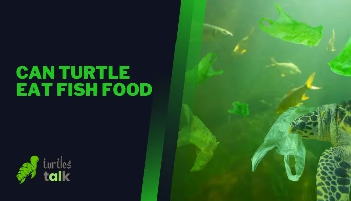 Can Turtle Eat Fish Food