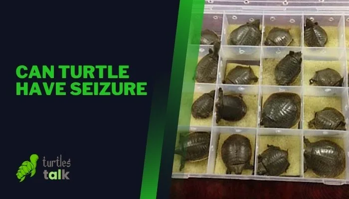 Can Turtle Have Seizure