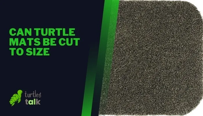 Can Turtle Mats Be Cut to Size