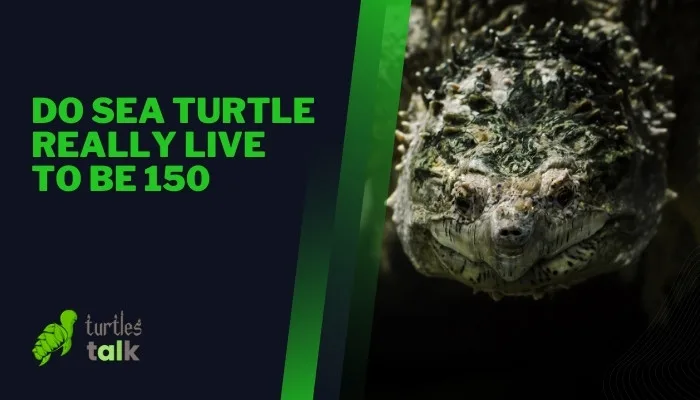 Do Sea Turtle Really Live to Be 150