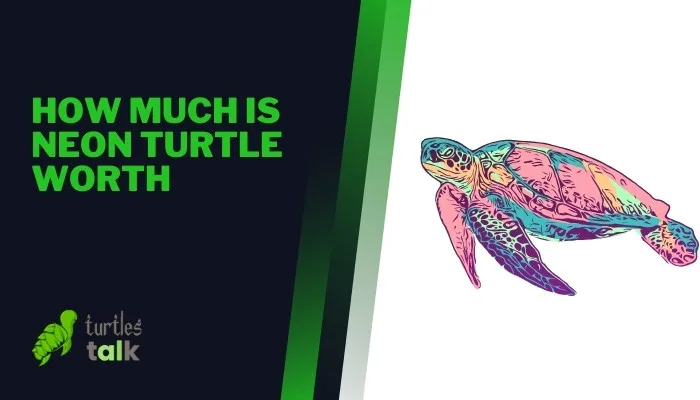 How Much Is Neon Turtle Worth