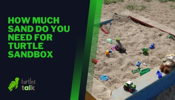 How Much Sand Do You Need for Turtle Sandbox