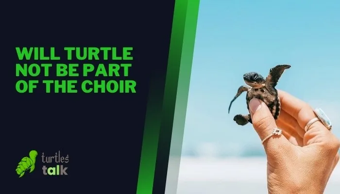 Will Turtle Not Be Part of the Choir