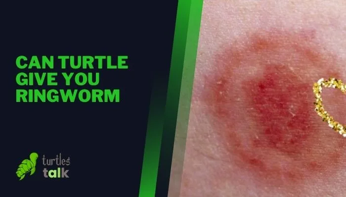 Can Turtle Give You Ringworm