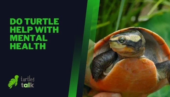 Do Turtle Help With Mental Health