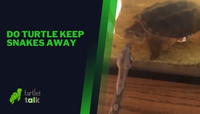 Do Turtle Keep Snakes Away