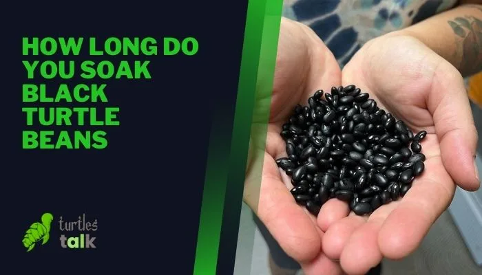 How Long Do You Soak Black Turtle Beans